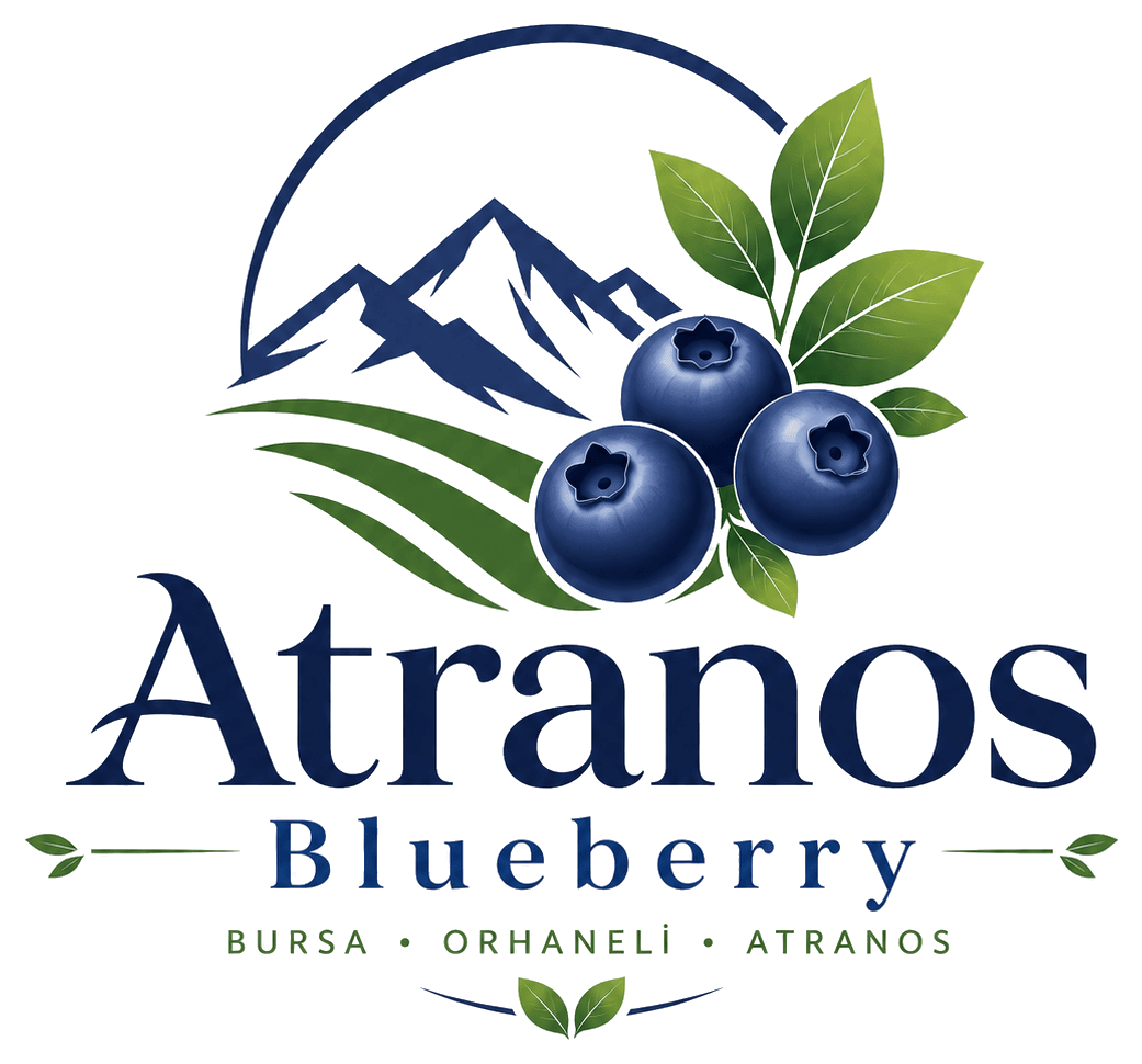 Atranos Blueberry