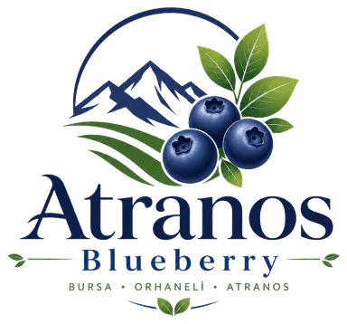 Atranos Blueberry