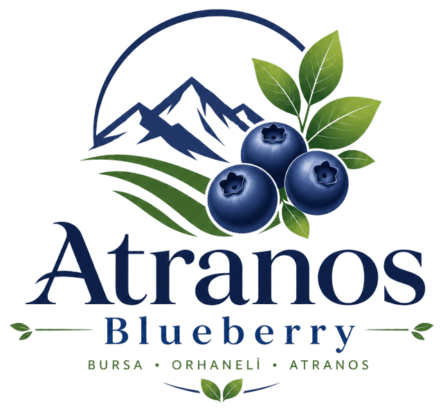 Atranos Blueberry