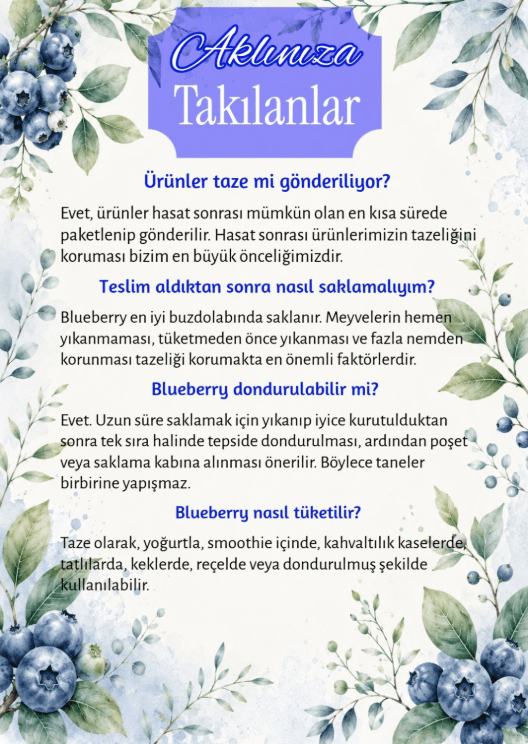 Yaban mersini saklama ve tüketim bilgileri afişi