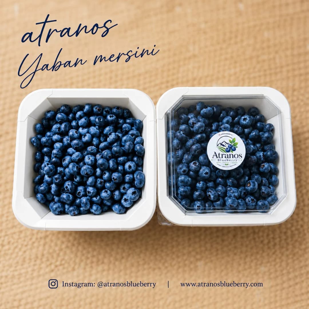 2 kg Al. Kargo Avantajlı / Atranos Yaban Mersini.